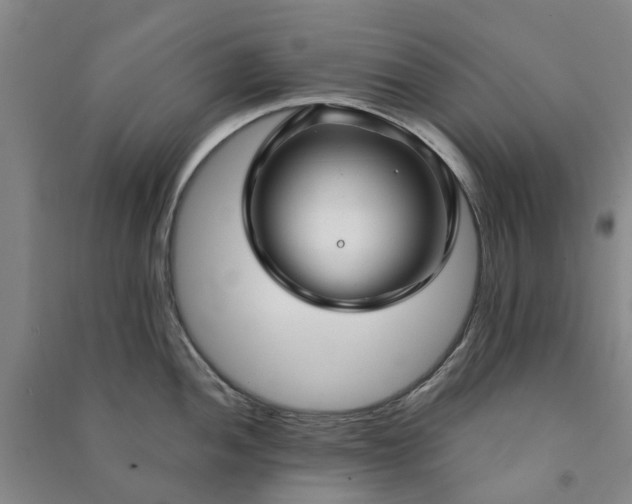 X0000090951052200708161752