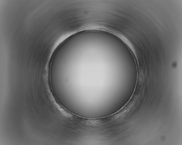 X0000090951053200708161752