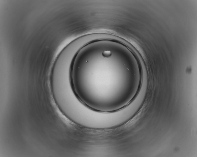 X0000090951054200708161752