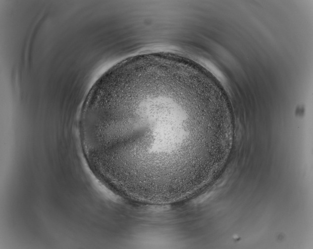 X0000090951055200708161752