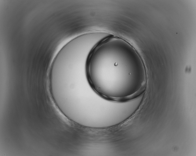 X0000090951056200708161752