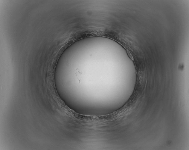 X0000090951057200708161751
