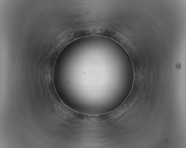 X0000090951058200708161751