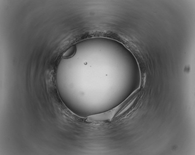 X0000090951059200708161751