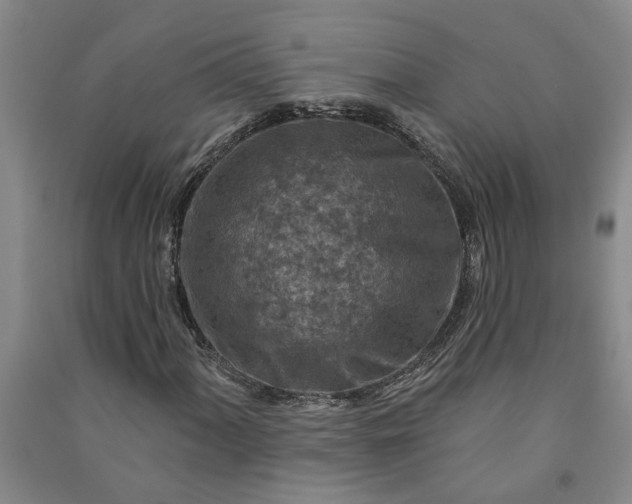 X0000090951060200708161751
