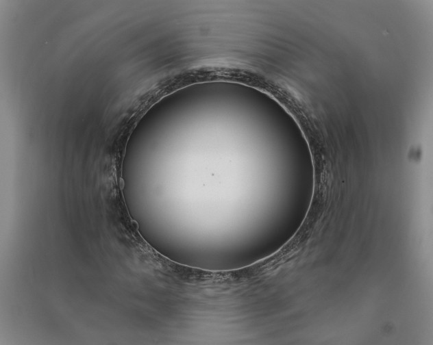 X0000090951062200708161751