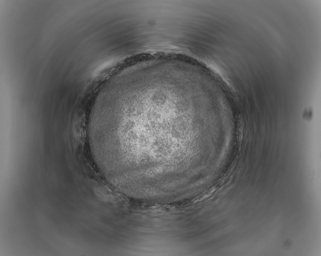 X0000090951063200708161751