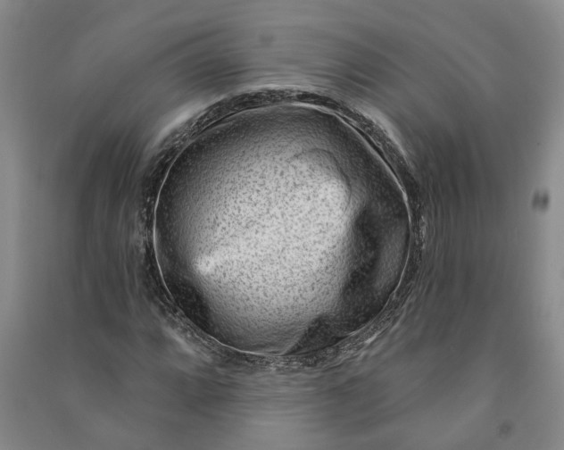 X0000090951064200708161751