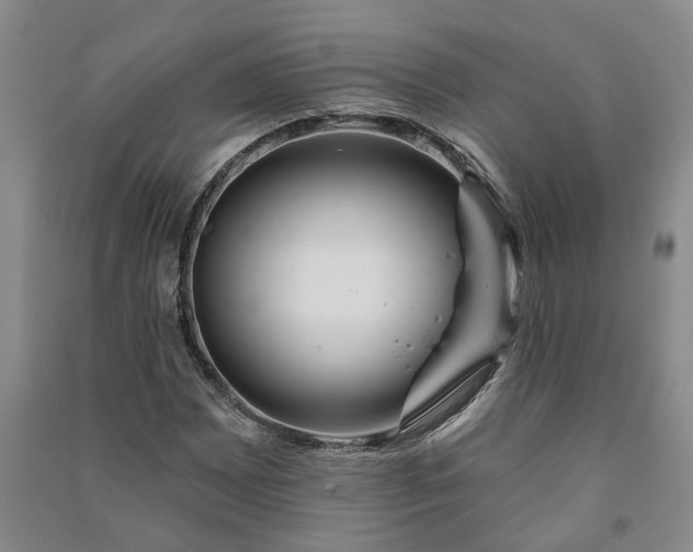 X0000090951065200708161751