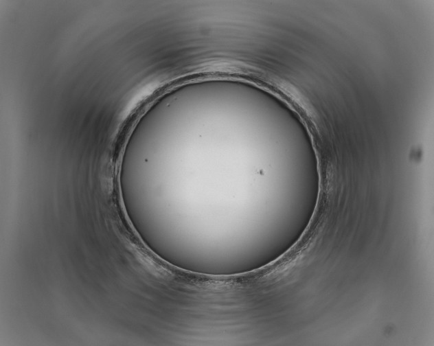 X0000090951067200708161751