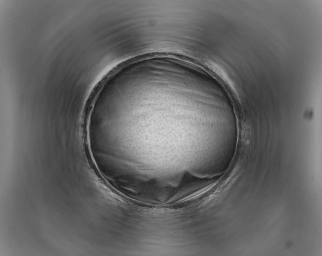 X0000090951068200708161751