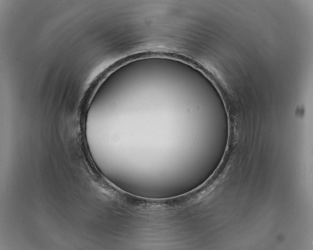 X0000090951070200708161751
