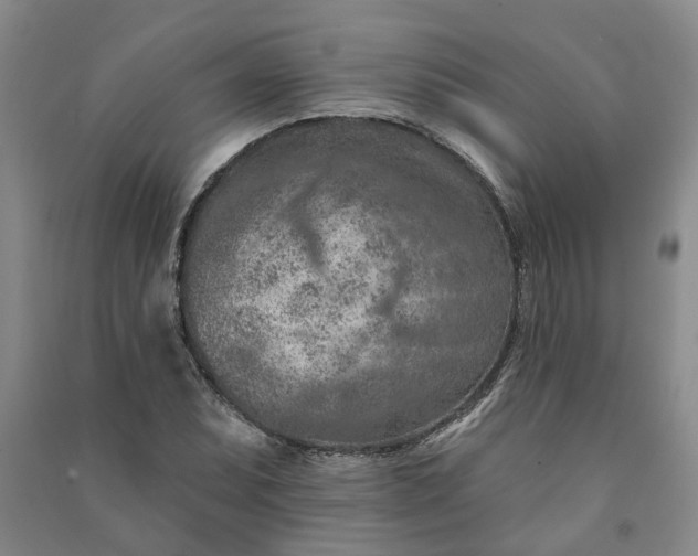X0000090951071200708161751