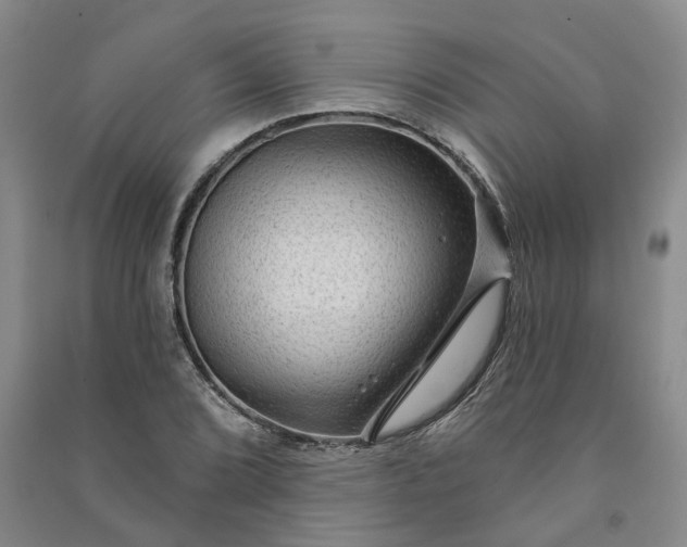 X0000090951072200708161751