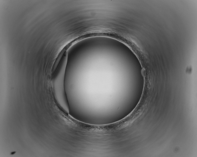 X0000090951073200708161751
