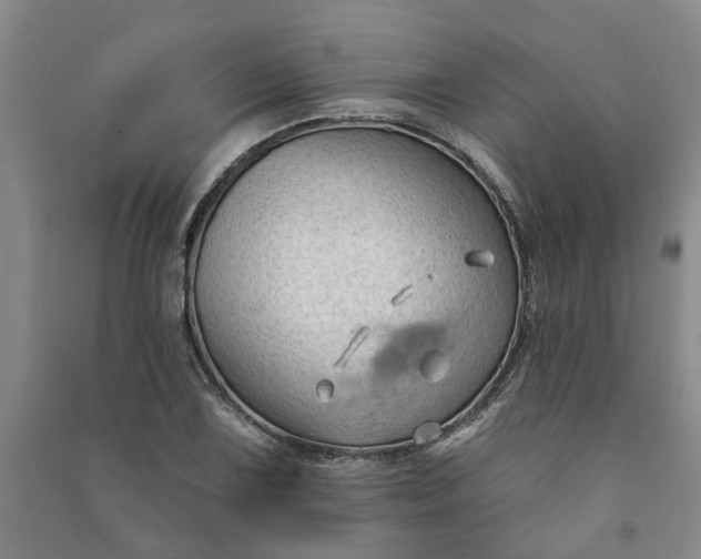 X0000090951075200708161751