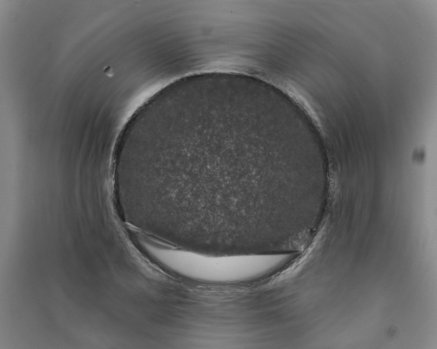 X0000090951077200708161751