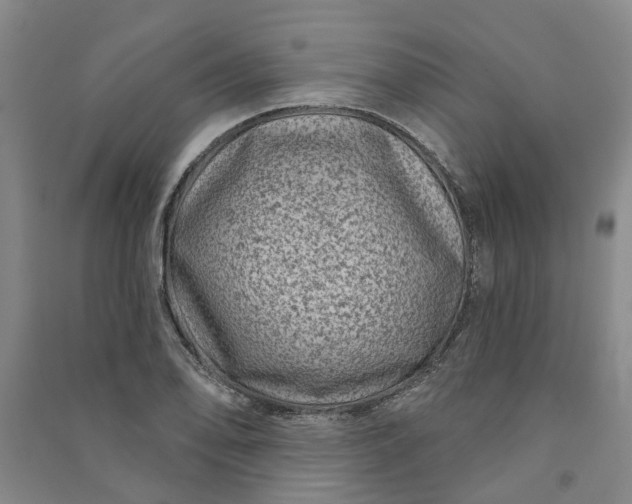 X0000090951078200708161751