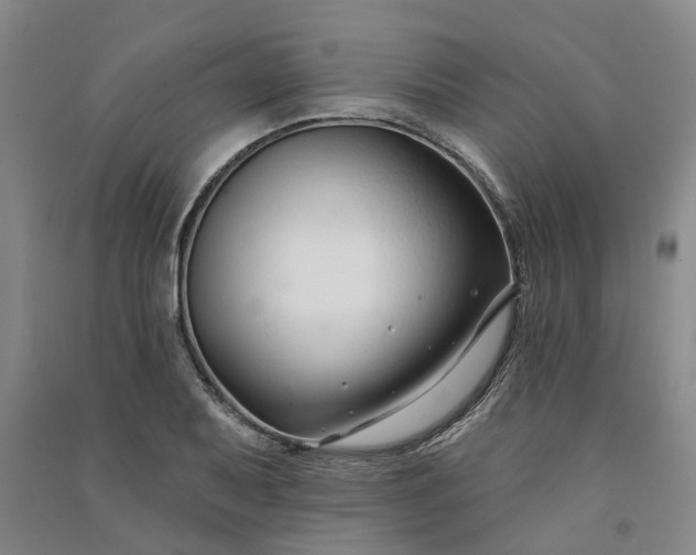 X0000090951079200708161751