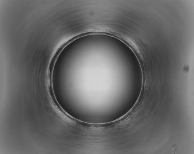 X0000090951080200708161751
