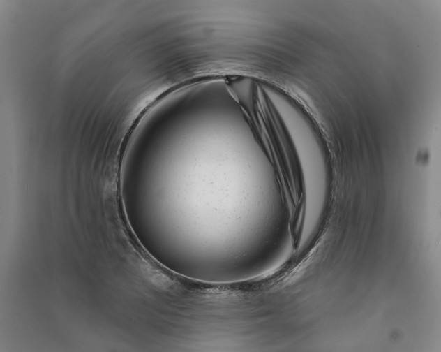 X0000090951081200708161751