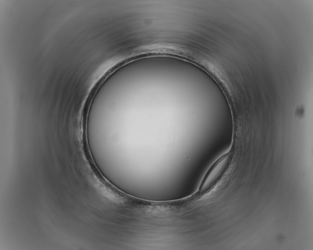 X0000090951082200708161751