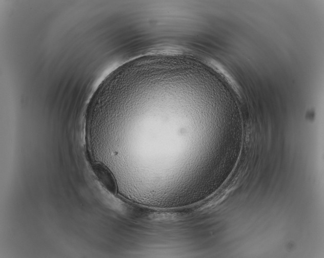 X0000090951083200708161751