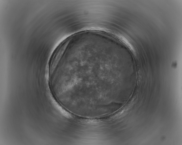 X0000090951084200708161751