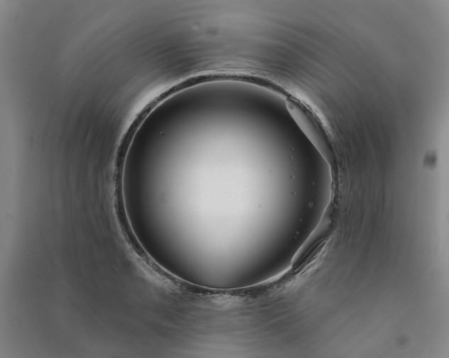 X0000090951085200708161751