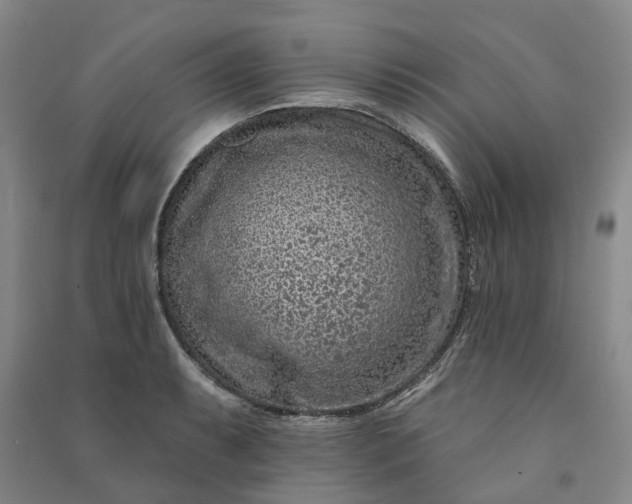 X0000090951087200708161751