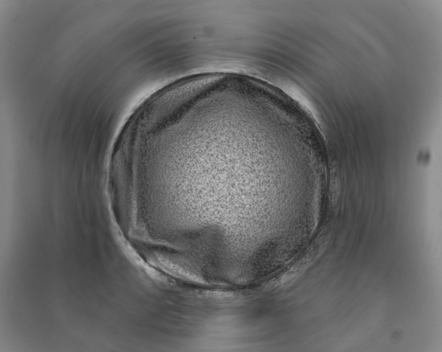 X0000090951088200708161751