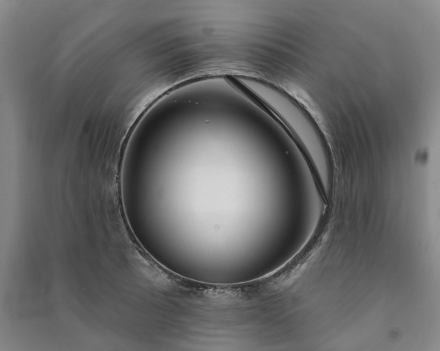 X0000090951089200708161751