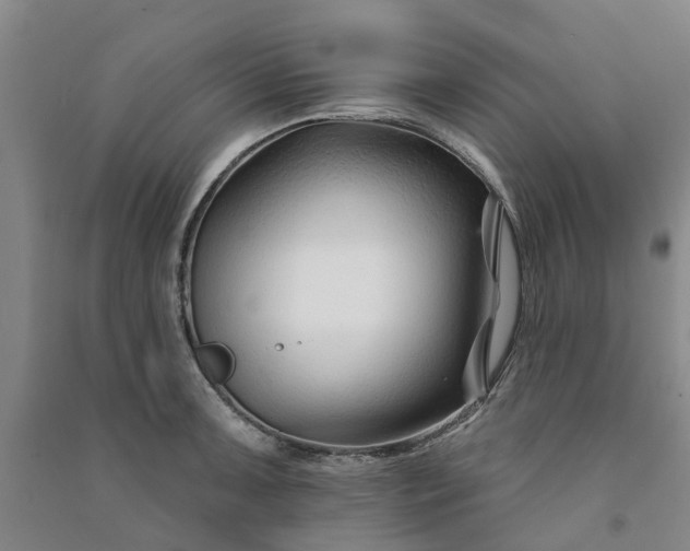 X0000090951091200708161751