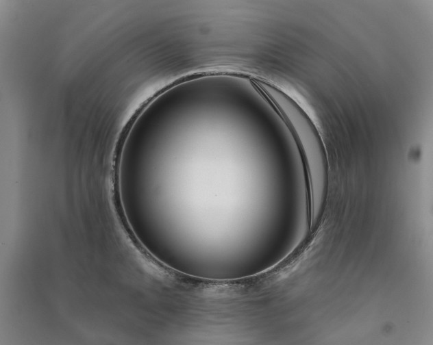 X0000090951093200708161751