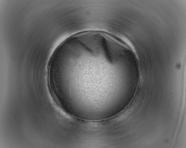 X0000090951096200708161751