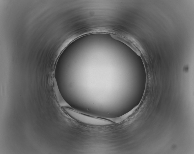 X0000090951097200708161751