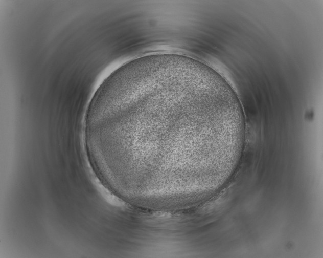 X0000090951098200708161751