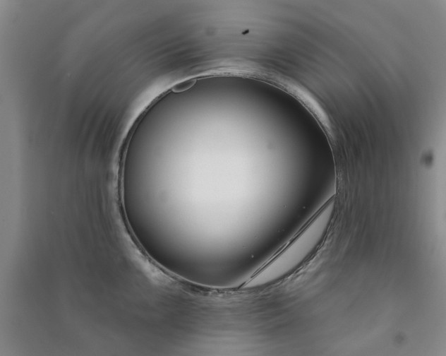 X0000090951099200708161751