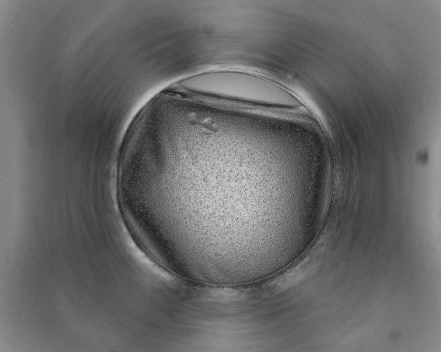 X0000090951100200708161751