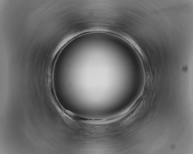 X0000090951101200708161751