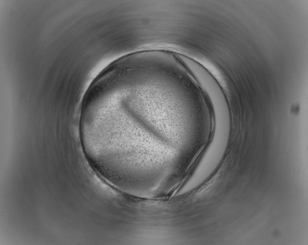 X0000090951102200708161751
