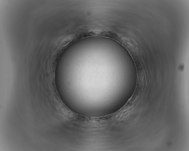 X0000090951105200708161750