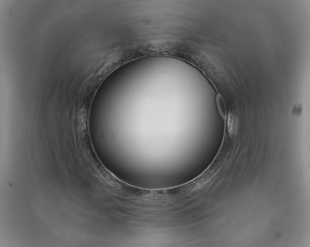 X0000090951107200708161750