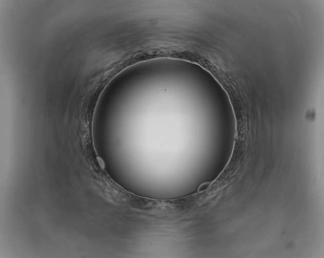 X0000090951109200708161750