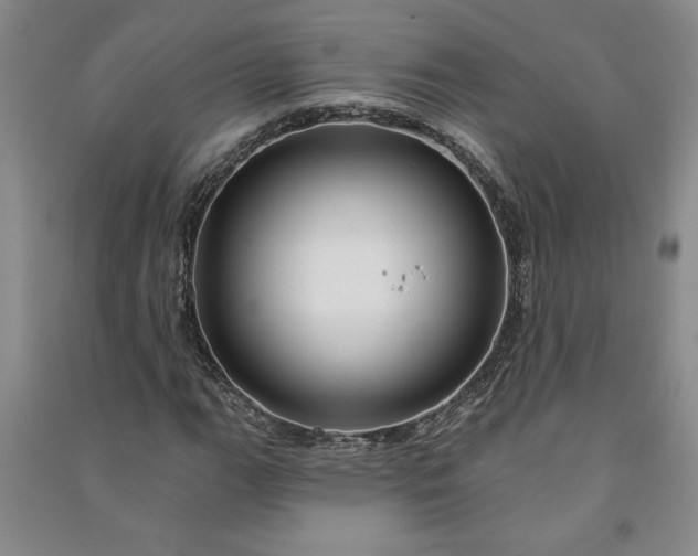 X0000090951111200708161750