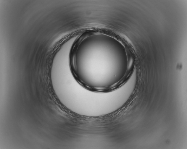X0000090951112200708161750