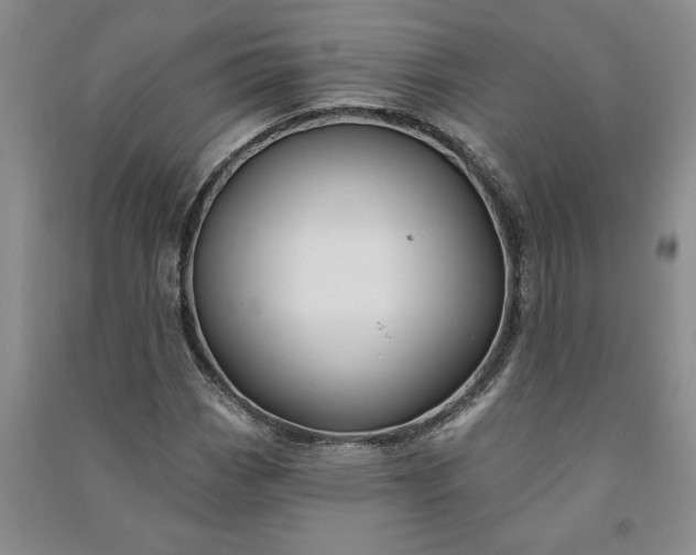 X0000090951113200708161750