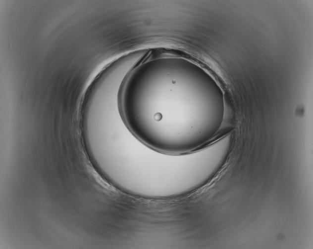 X0000090951116200708161750