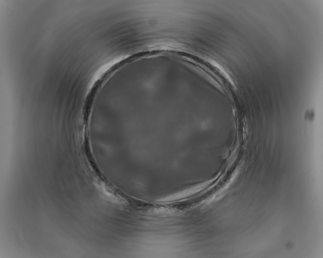 X0000090951117200708161750