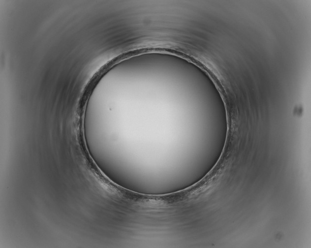 X0000090951119200708161750